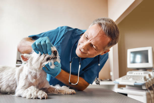 Best After-Hours Dental Care in Rusk, TX